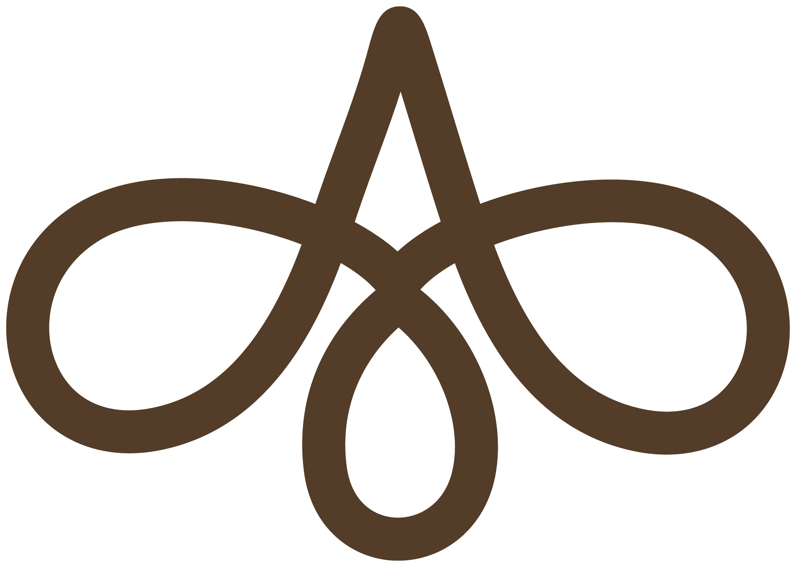 Medusa Store
